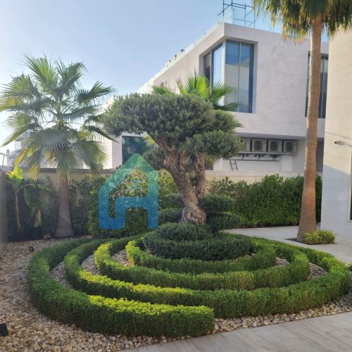 Shaping the tree and garden cleaning services