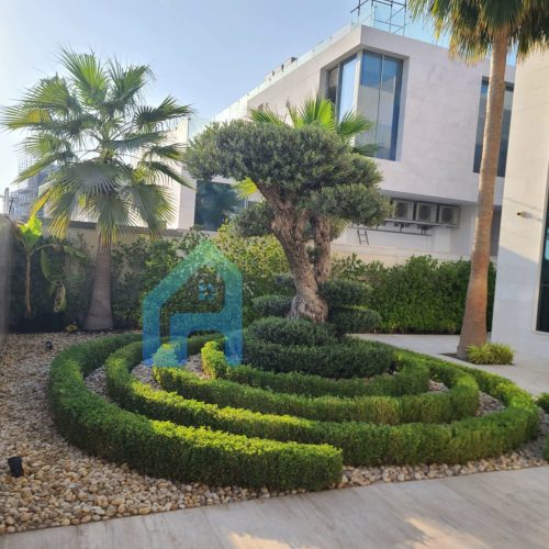 Garden Maintenance Dubai